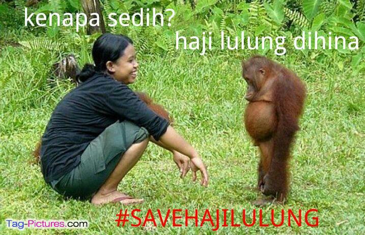 Kaka Menghina Haji Lulung Monyetpun MEMBELA!!