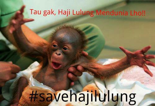 Kaka Menghina Haji Lulung Monyetpun MEMBELA!!
