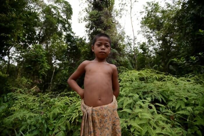 Orang Rimba Meninggal Kelaparan, Pak Jokowi Kemana?