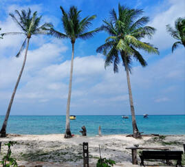 Travelling ke Karimunjawa