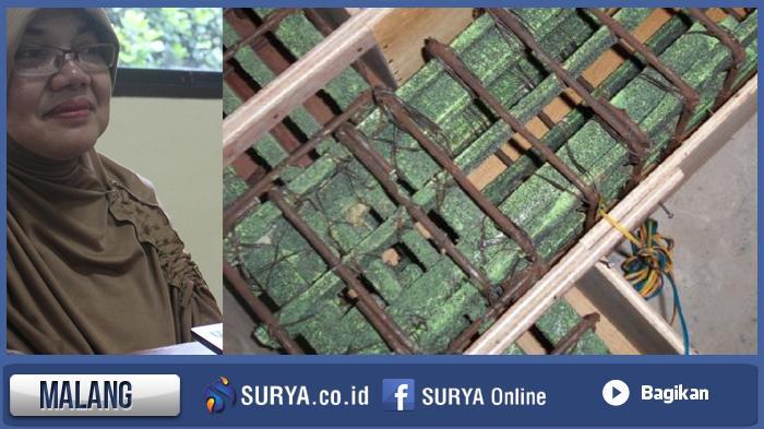 DOKTOR DI MALANG TEMUKAN KONSTRUKSI BETON DARI BAMBU YANG TAHAN GEMPA