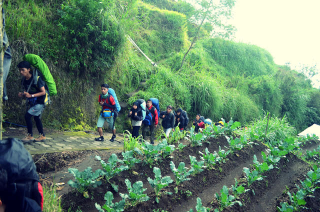 PAKE BAHASA INDONESIA SAJA (MERBABU VIA WEKAS 19-22 FEBRUARI 2015 )