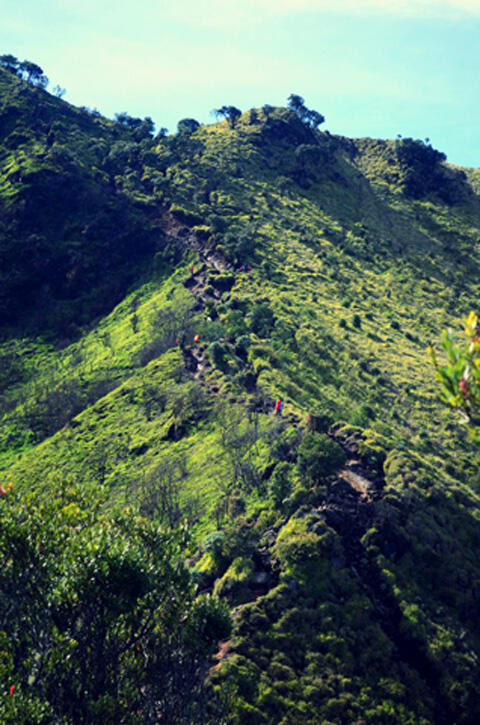 PAKE BAHASA INDONESIA SAJA (MERBABU VIA WEKAS 19-22 FEBRUARI 2015 )