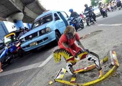 Profesi-Profesi yang Biasa Kita Temui di Lampu Merah