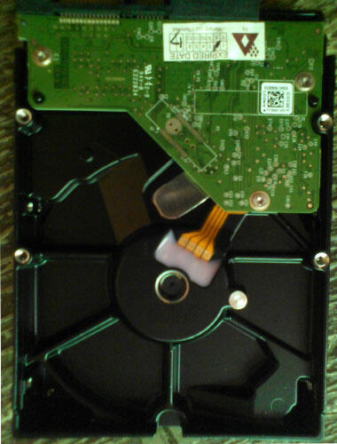 Hardisk PC WD Blue 500gb Garansi RESMI sampai 2017 NEGO