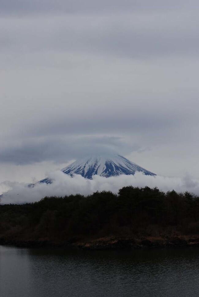 Rahasia Angker Aokigahara, Hutan Kematian di Jepang