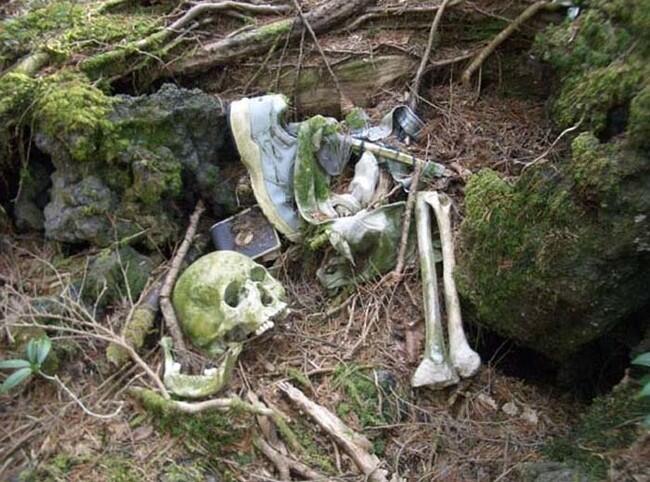 Rahasia Angker Aokigahara, Hutan Kematian di Jepang