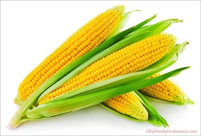 Ngobrol Santai Liat 7 Manfaat Ekstra yang Terdapat Dari Jagung Nih Gan!!!