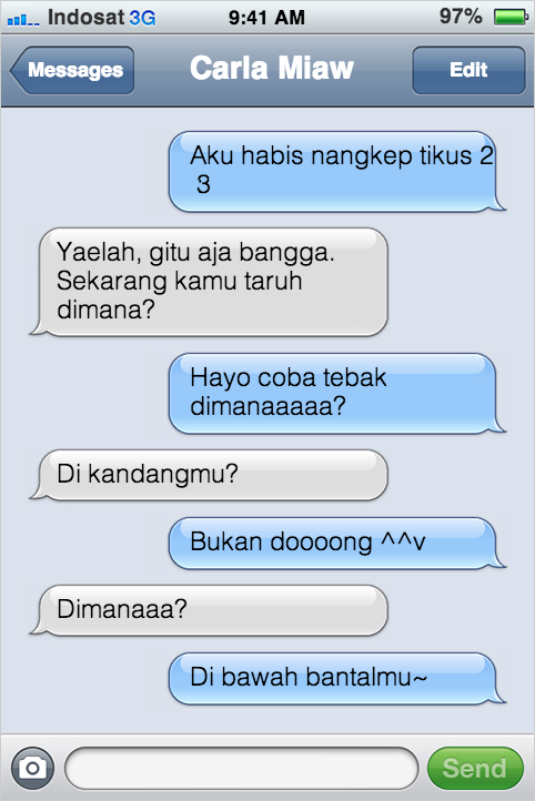 Kejadian Kocak Kalau Kucing Bisa SMS-an Sama Kamu