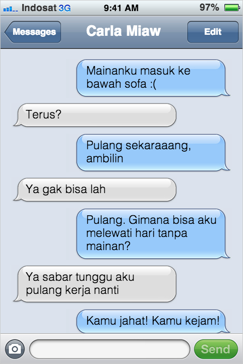 Kejadian Kocak Kalau Kucing Bisa SMS-an Sama Kamu