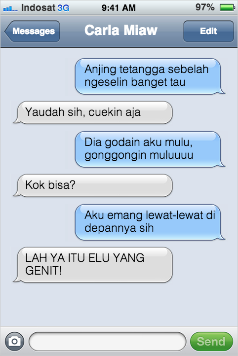 Kejadian Kocak Kalau Kucing Bisa SMS-an Sama Kamu