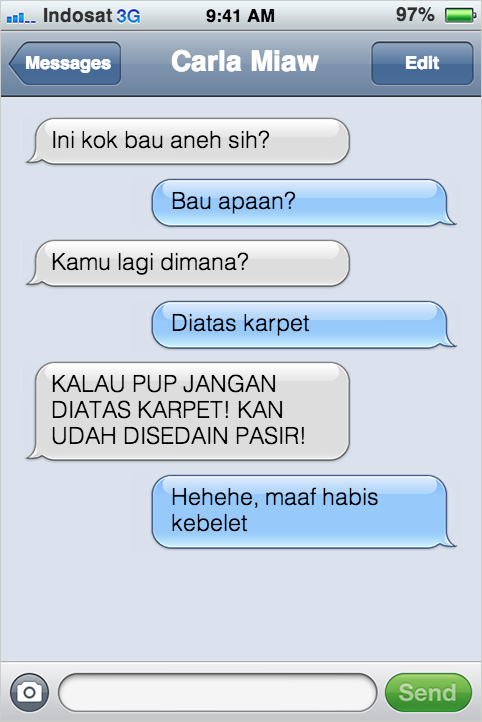 Kejadian Kocak Kalau Kucing Bisa SMS-an Sama Kamu