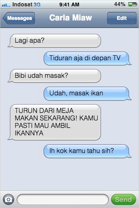 Kejadian Kocak Kalau Kucing Bisa SMS-an Sama Kamu