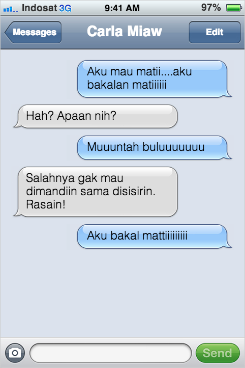 Kejadian Kocak Kalau Kucing Bisa SMS-an Sama Kamu