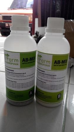 GO Green with Hidroponik!!!
