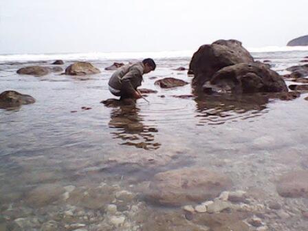 Mencari Kerang dan Berbagai Aktivitas Lain Masyarakat Pesisir Saat Air Laut Surut