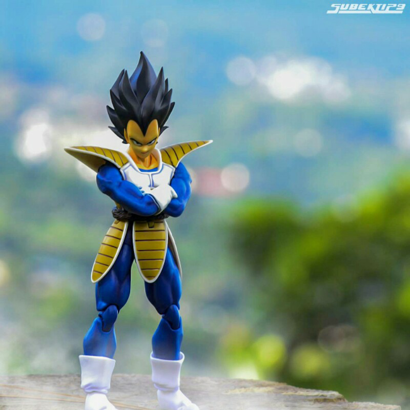 toy photography