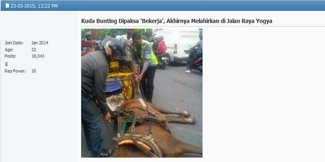 Dipaksa Narik Andong Saat Hamil, Kkuda Melahirkan di Titik Nol Yogya