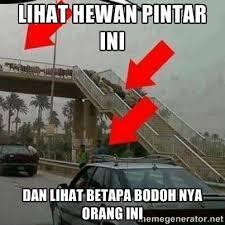 PENGOCOK PERUT KASKUSER PART 16 pergi pagi pagi pulang petang pendapatan maximal