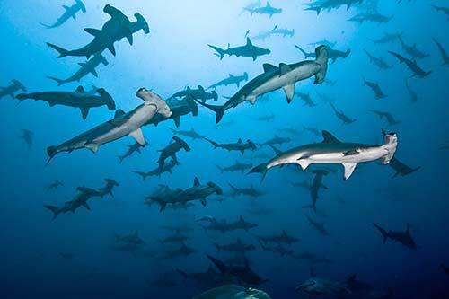 Kota-Kota Kuno Ini Ditemukan di Dasar Laut