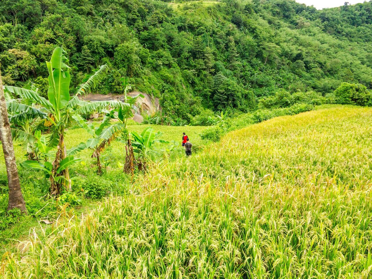 &#91;FR&#93; BikePackers goes to Ciletuh GeoPark part 1