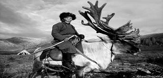 Mengintip Kehidupan Penduduk Mongolia yang Hidup Bersama Rusa