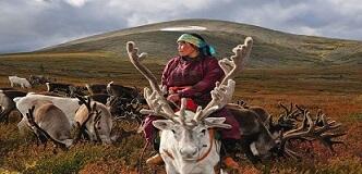 Mengintip Kehidupan Penduduk Mongolia yang Hidup Bersama Rusa