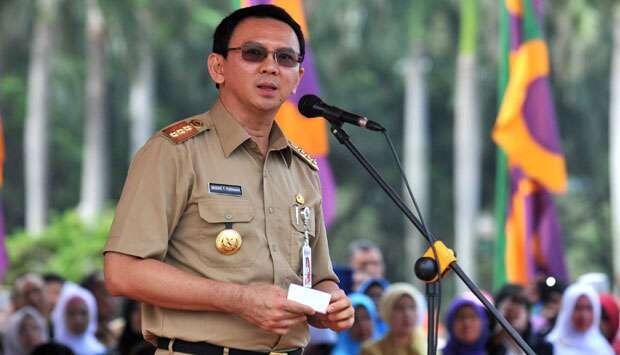 Teringat Somebody, Ahok beri nama sapi ini 'USB'