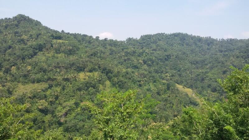 Blusukan ke CURUG KEMBANG SOKA , Air Terjun Tersembunyi di Barat Kota Jogja 