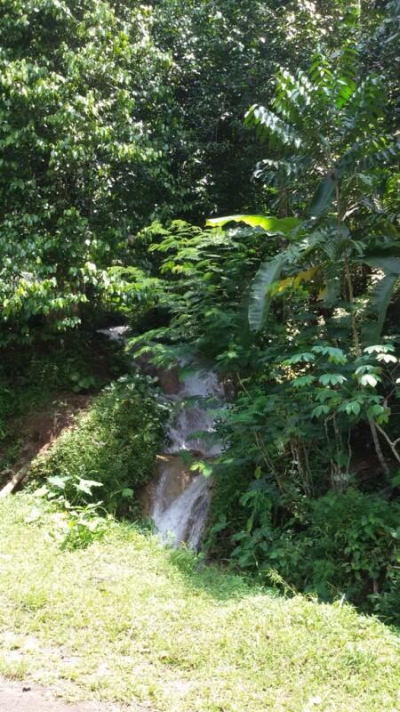 Blusukan ke CURUG KEMBANG SOKA , Air Terjun Tersembunyi di Barat Kota Jogja 