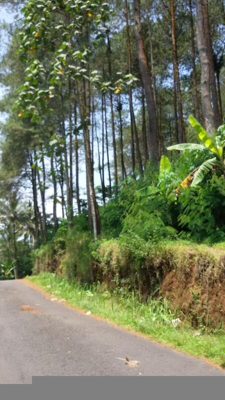 Blusukan ke CURUG KEMBANG SOKA , Air Terjun Tersembunyi di Barat Kota Jogja 