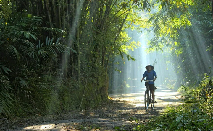 Mungkin yang lagi rindu Kampung halaman,maupun masa kecilnya !