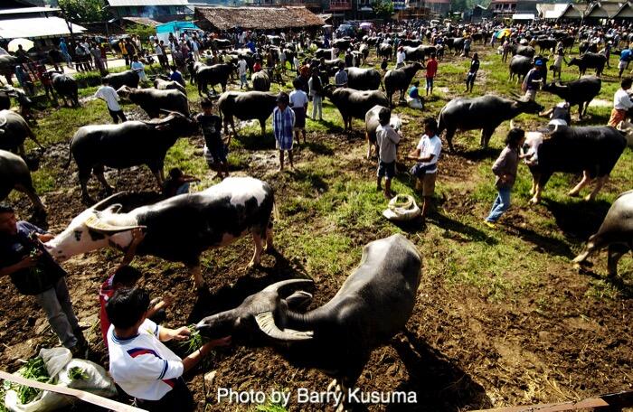 Rambu Solo, Tradisi Pemakaman Unik di Tana Toraja.