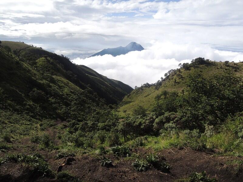 PENDAKIAN MERBABU 30 DES 2104