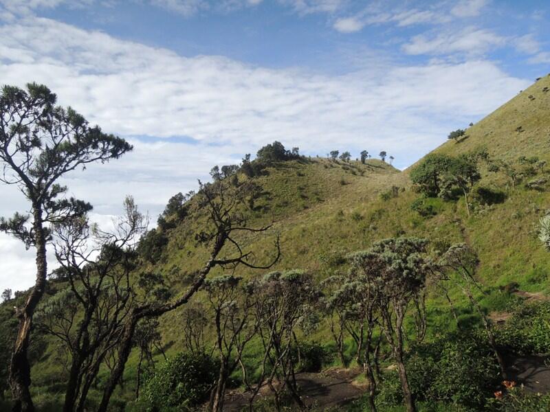 PENDAKIAN MERBABU 30 DES 2104