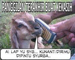 Tentang Kambing