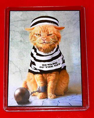 Kucing2 Nakal (Jangan Ditiru Gan!!)