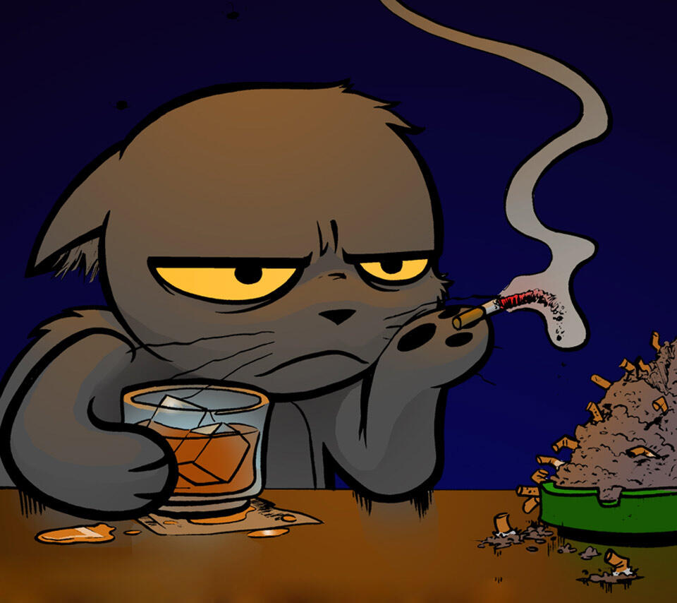 Kucing2 Nakal (Jangan Ditiru Gan!!)