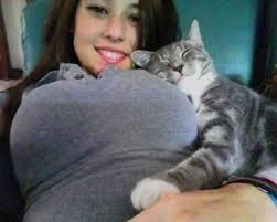 Kucing2 Nakal (Jangan Ditiru Gan!!)