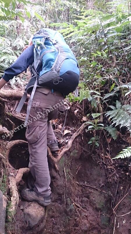 Penjelajahan Gunung Halimun Salak jurusan Cimelati – Pasir Reungit 