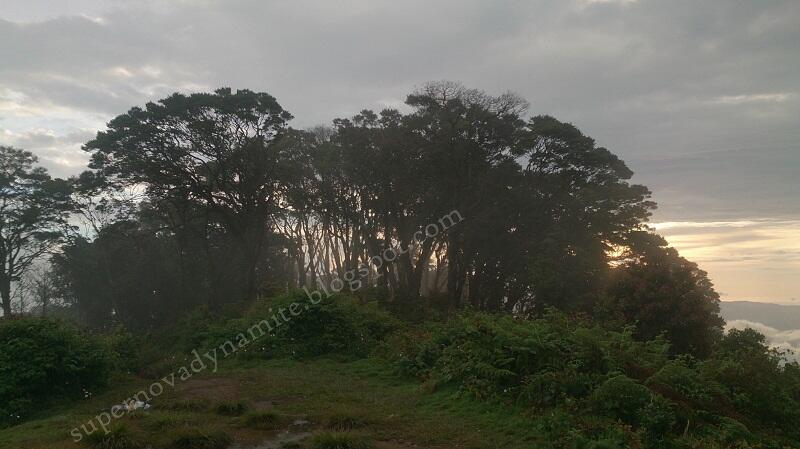 Penjelajahan Gunung Halimun Salak jurusan Cimelati – Pasir Reungit 