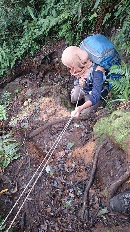 Penjelajahan Gunung Halimun Salak jurusan Cimelati – Pasir Reungit 