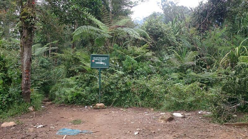 Penjelajahan Gunung Halimun Salak jurusan Cimelati – Pasir Reungit 