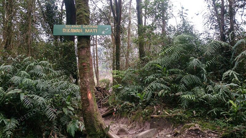 Penjelajahan Gunung Halimun Salak jurusan Cimelati – Pasir Reungit 