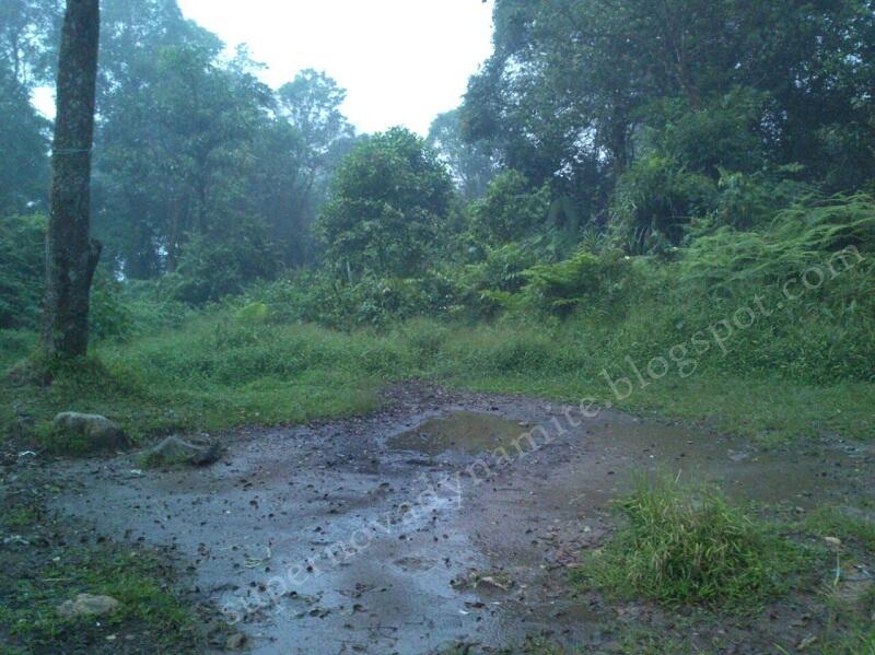 Penjelajahan Gunung Halimun Salak jurusan Cimelati – Pasir Reungit 