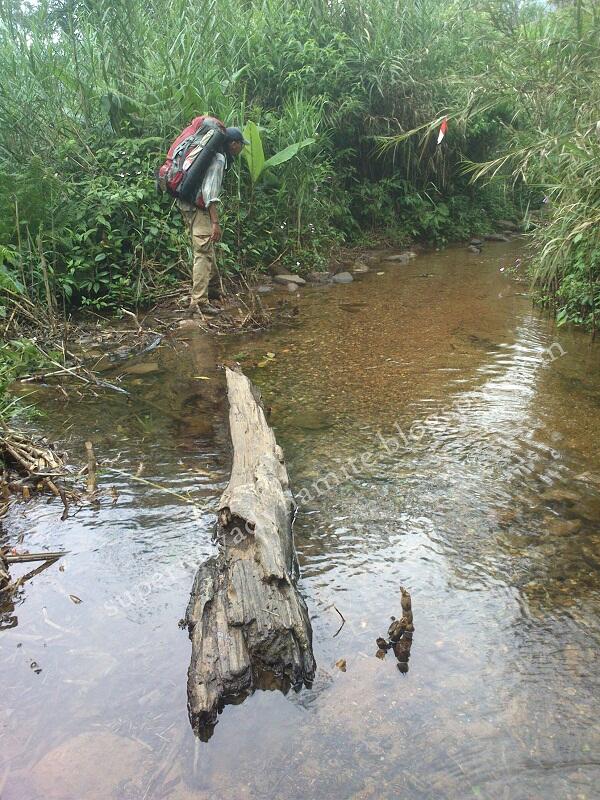 Penjelajahan Gunung Halimun Salak jurusan Cimelati – Pasir Reungit 