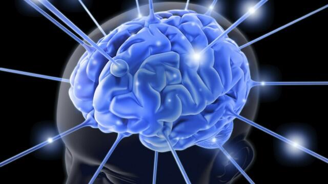 Sudah Tahu Multitasking Berpotensi Menurunkan IQ Kamu?