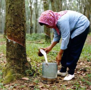 &#91;PROSES&#93; Di Balik Sepele nya Karet Gelang