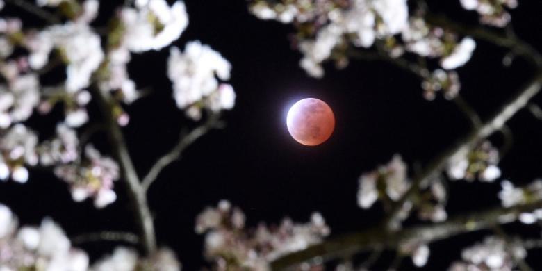 &#91;FOTO&#93; Indahnya Penampakan Gerhana Bulan Merah di Berbagai Belahan Dunia