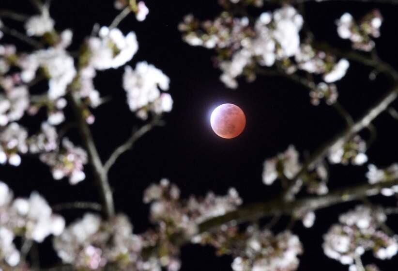 &#91;FOTO&#93; Indahnya Penampakan Gerhana Bulan Merah di Berbagai Belahan Dunia